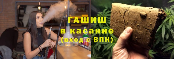 шишки Медвежьегорск