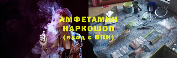 шишки Медвежьегорск