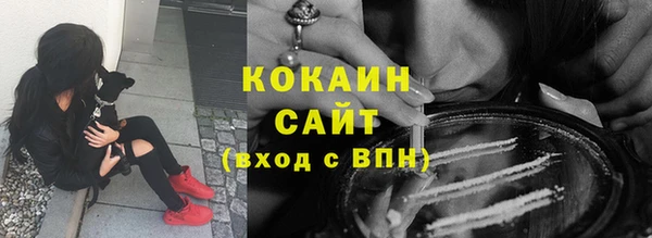 шишки Медвежьегорск