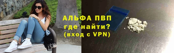 шишки Медвежьегорск
